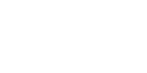 The Home Page fortinet 4